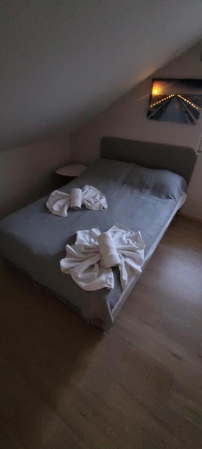 Zen Apartmani 노비사드 외부 사진